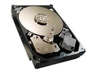 【中古】4肺結核 Video 64MB 5900RPM