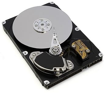 【中古】HP/Compaq 431944-B21 300GB SAS 禾穀類繋ぎ合わせるSCSI 捉え所の無い運転