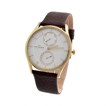 【中古】SKAGEN SKW6066 並行輸入品