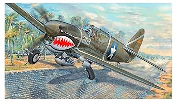 【中古】トランペッター 1/32 アメリカ陸軍航空隊 P-40F ウォーホーク プラモデル 03227