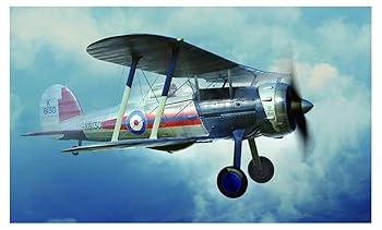 【中古】メリットインターナショナル 1/48 イギリス空軍 グロスター グラディエーター Mk1 プラモデル