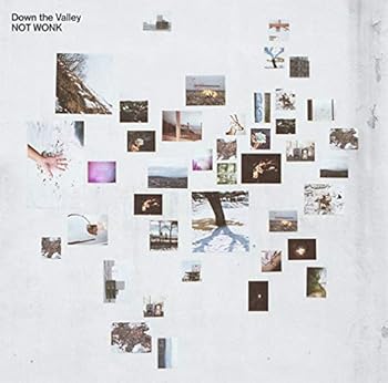 【中古】Down the Valley 限定300枚再プレス / アナログレコード