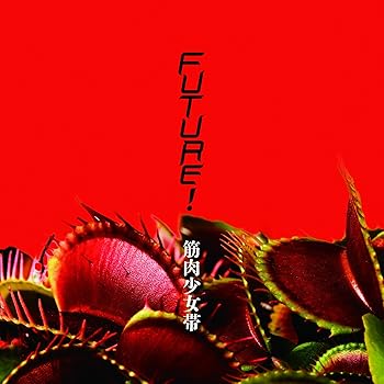 【中古】【39shop】Future!★初回限定盤A(非常に良い)｜アトリエ絵利奈 9,010円