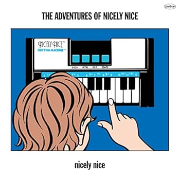 【中古】The adventures of nicely nice Analog