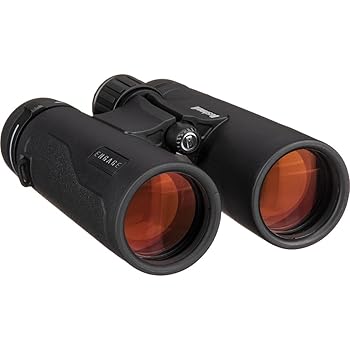 【中古】Bushnell Engage小型望遠鏡, 10 x 42 粍、引っ敷き黒いこと