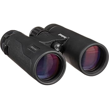 【中古】Bushnell Engage DX 10x42粍 小型望遠鏡 黒いこと