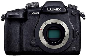 【中古】パナソニック ミラーレス一眼カメラ ルミックス GH5 ボディ ブラック DC-GH5-K