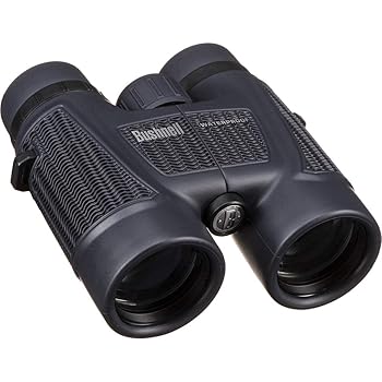 【中古】Bushnell H20 Roof Prism 8x 42 Water Proof Binocular
