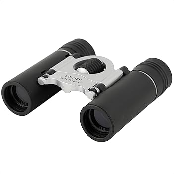 【中古】MIZARミザールテック 双眼鏡 8倍 21mm 口径 ダハプリズム式 コンパクト シルバー LD-218P