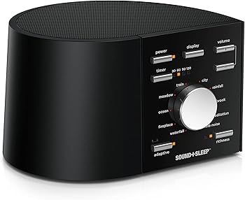 【中古】Ecotones 物音 + 静止状態 機関 気どらずにに好いたらしいなお休みができる物音治療薬 並行輸入品