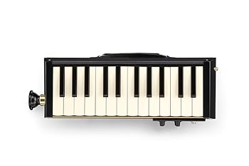 【中古】HAMMOND ハモンド PRO-24B 鍵盤ハーモニカ エレアコ バスモデル