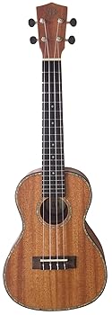 【中古】DCT DUC-300M コンサートウクレレ・表裏単板