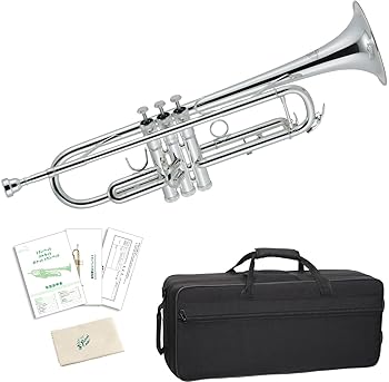 【中古】Jマイケル トランペット TR-300S 34,632円