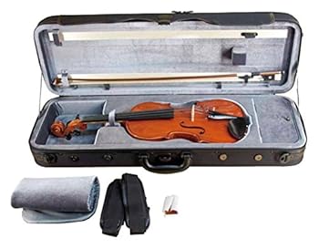 SUZUKI バイオリン No.300 3/4 Anno 1986年 SUZUKI バイオリン No.300 3/4 Anno 1986年 SUZUKI バイオリン No.300