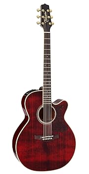 【中古】Takamine DMP551C WR エレアコギター 500シリーズ タカミネ