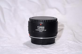 【中古】【39shop】Canon★ライフサイズコンバーターEF(非常に良い)｜アトリエ絵利奈
