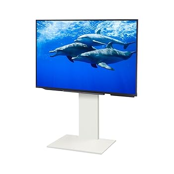 【中古】WALL テレビスタンド テレビ台 壁寄せテレビスタンド WALLウォール V2 ロータイプ 2020モデル 32～60V対応 サテンホワイト EQUALS イコールズ