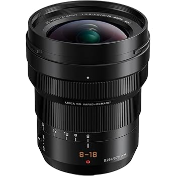 【中古】Panasonic LUMIX Professional 8-18粍 写真機水晶体 G LEICA DG VARIO-ELMARIT F2.8-4.0 ASPH 鏡鑑レスマイクロフォーサーズ H-E08018 ブラッ