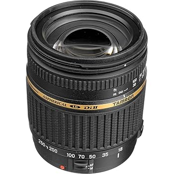 【中古】TAMRON AF18-250mm F/3.5-6.3 Di II LD Aspherical IF Macro デジタル専用 ニコン用 A18N