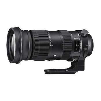 【中古】シグマSigma SIGMA シグマ Canon EFマウント レンズ 600-600mm F4.5-6.3 DG OS HSM ズーム 望遠 フルサイズ Sports 一眼レフ 専用