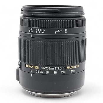 【中古】シグマ 18-250粍 F3.5-6.3 DC os HSM EO キヤノン用