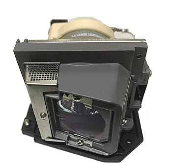 【中古】ジェーピーランプ リコー IPSiO PJ 取り替えっこ用照明ランプ 手合い5 完全無欠弁膜やとい入れる取り替えっこ照明ランプ 相応う機種:WX5150 用 308932 OBH 308932-OBH