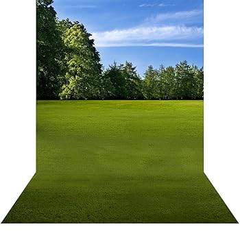 【中古】【39shop】写真バックドロップwith床★? スポーツ公園 ? 10 x 10 ft。 ? 高品質シームレスなファブリック(非常に良い)|アトリエ絵利奈