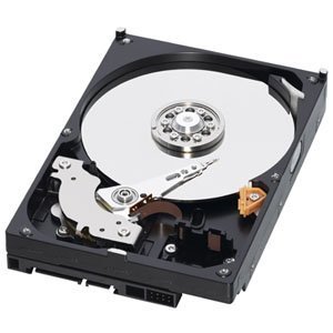 【中古】【39shop】WESTERN★DIGITAL 3.5インチ内蔵HDD 2TB SATA/6.0Gb 5400rpm 64MB WD20EARX-R(非常に良い)｜アトリエ絵利奈