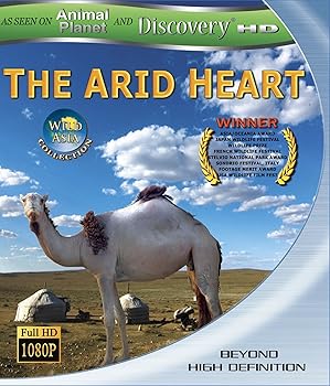 【中古】Arid Heart Blu-ray