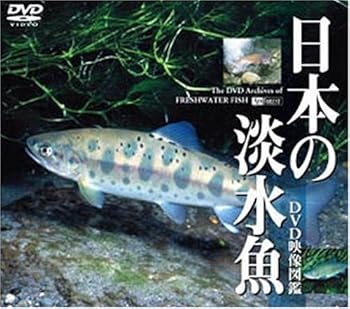 【中古】シンフォレストDVD 日本の淡水魚　DVD映像図鑑