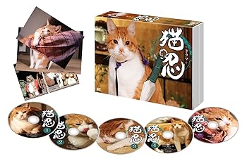 【中古】【39shop】ドラマ★猫忍 」DVD-BOX(非常に良い)｜アトリエ絵利奈
