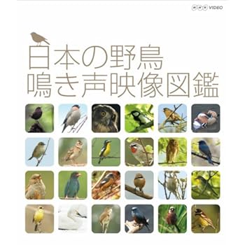 【中古】日本の野鳥 鳴き声映像図鑑　ブルーレイNHKスクエア限定商品
