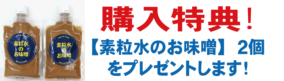 楽天市場】【特典付き】◇素粒水を創る浄水器・ワンウォーターECO（カートリッジ込み）◇株式会社フリーサイエンスより直送【消費税込】※ご購入の方には「 素粒水の使い方詳細資料一式」と【素粒水のお味噌２個】をプレゼントします。 : 素粒水の専門ショップ＆ギフト