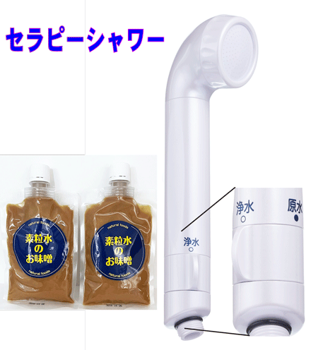 楽天市場】【特典付き】◇素粒水を創る浄水器・ワンウォーターECO（カートリッジ込み）◇株式会社フリーサイエンスより直送【消費税込】※ご購入の方には「素粒水の使い方詳細資料一式」と【素粒水のお味噌２個】をプレゼントします。  : 素粒水の専門ショップ＆ギフト