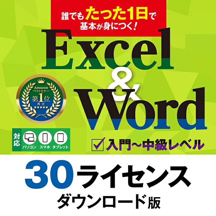 使用許可版 30使用許可 誰でもたった1日で基本理念が身につく！Excel＆Word｜最新Office2021 Office365 相応う エクセル 1価関数 言葉 役立つこと ストリーミング生まれ変わり 両相応う｜ダウンロード版