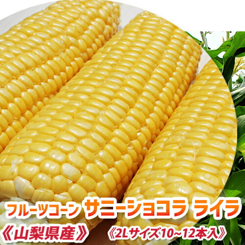 楽天市場】《皮付き生ベビーコーン 100本以上》ヤングコーン【朝採り