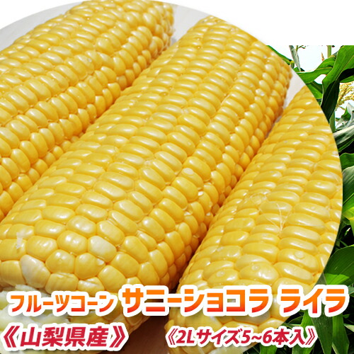楽天市場】《皮付き生ベビーコーン 100本以上》ヤングコーン【朝採り