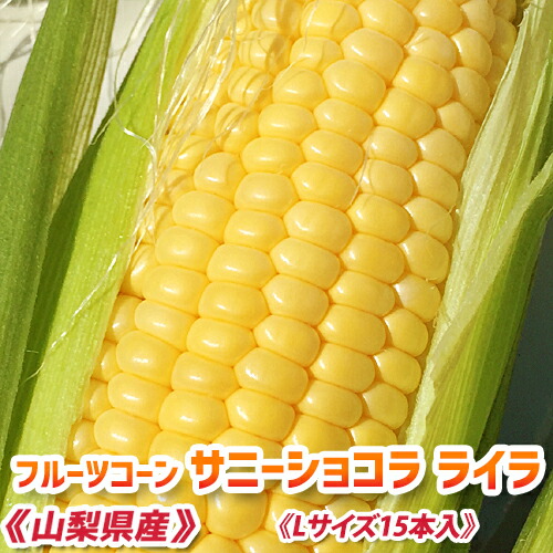 楽天市場】《皮付きベビーコーン 50本》ヤングコーン【希少！朝採り