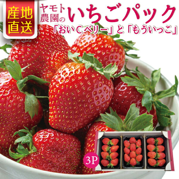 楽天市場】桃のような香りのプレミアムイチゴ「えちご美人」2Lサイズ