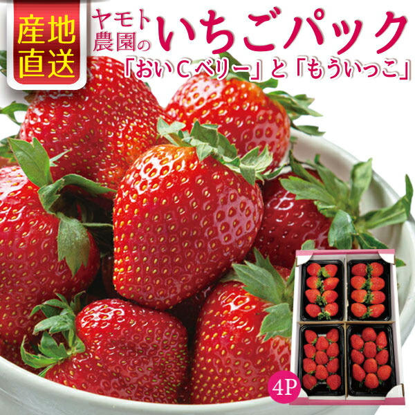 楽天市場】桃のような香りのプレミアムイチゴ「えちご美人」2Lサイズ