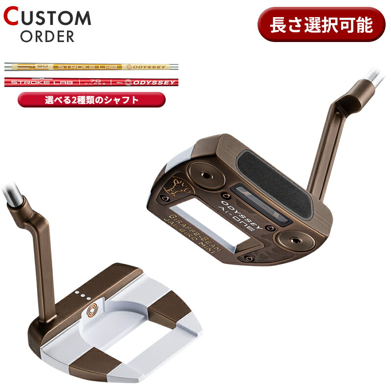 ◇美品ODYSSEYAI-ONEジラフビーム ジェイルバードミニロングネック◇ 楽天市場】【数量限定モデル】オデッセイ Ai-ワン ジラフビーム