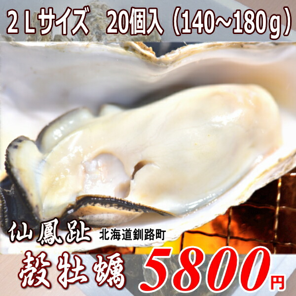 メーカー再生品 北海道 釧路町仙鳳趾 殻付き牡蠣 日本人気超絶の ２Lサイズ 1個130〜180ｇ ２０個 期間限定リピーター様感謝還元価格