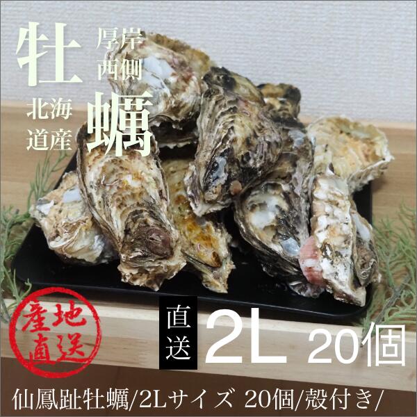 楽天市場】殻付き牡蠣/北海道/釧路町仙鳳趾/生牡蠣 L30個/（100〜130ｇ目安）旨い牡蠣 : 北の海の森 昆布森 アツマル水産