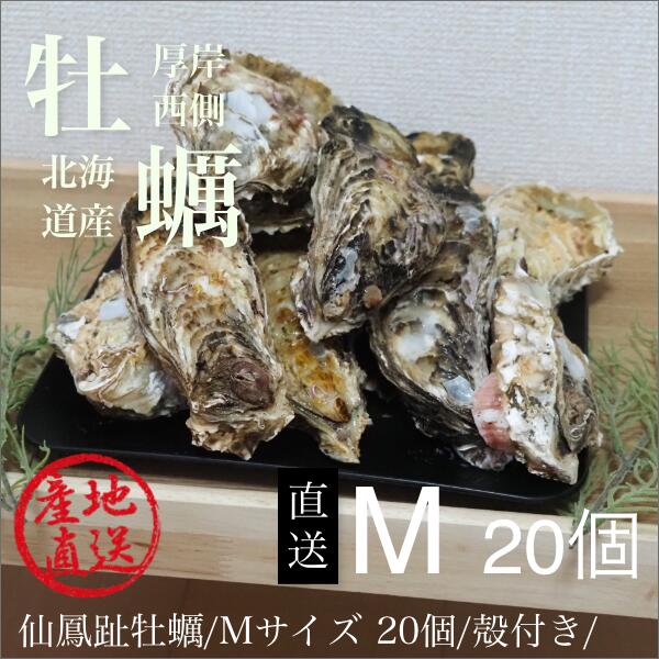 殻付き牡蠣【100個】 殻付き牡蠣100個(約10kg)以上】!!送料無料!! | 岡山県瀬戸内市