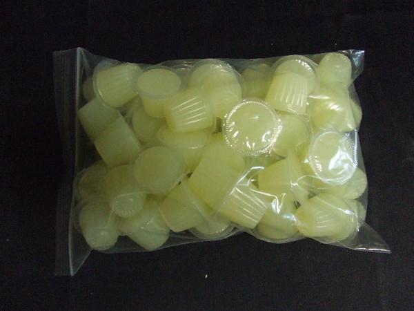 楽天市場】☆2024年新型冷やし虫家HI【標準サイズ☆組み立て式】100L