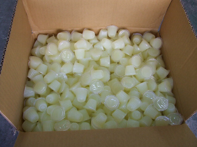 冷やし虫家 HI (しょーちき) 楽天市場】☆2024年新型冷やし虫家HI【標準サイズ☆組み立て式