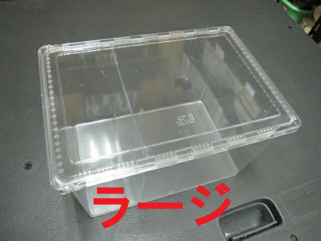 楽天市場】【マラソン限定クーポンで500円OFF!】飼育ケース