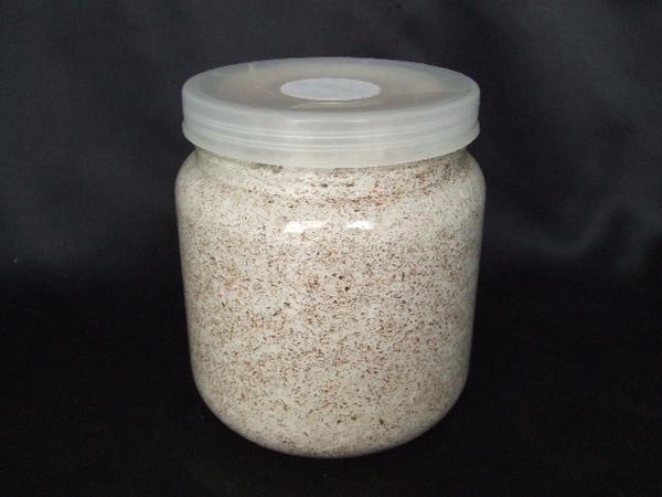 楽天市場】新型冷やし虫家HI【標準サイズ☆組み立て式】100L : 株式