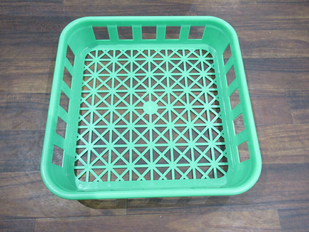 楽天市場】☆2024年新型冷やし虫家HI【標準サイズ☆組み立て式】100L