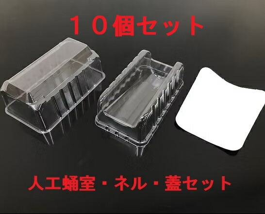 H：人工蛹室 DSPC（澄み切ったPET手合い）CL 蓋付き添い人10個仕掛ける【オオクワ♂大用】